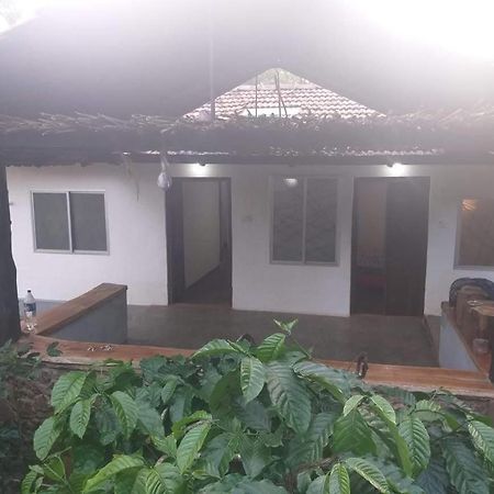 Durf Green Madikeri Extérieur photo