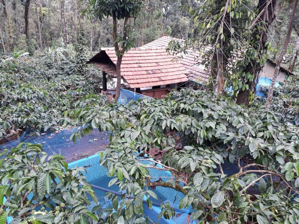 Durf Green Madikeri Extérieur photo